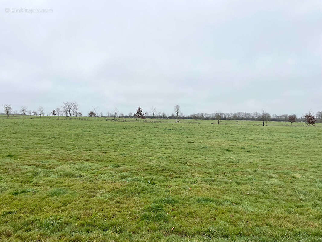 Maison à BEGROLLES-EN-MAUGES