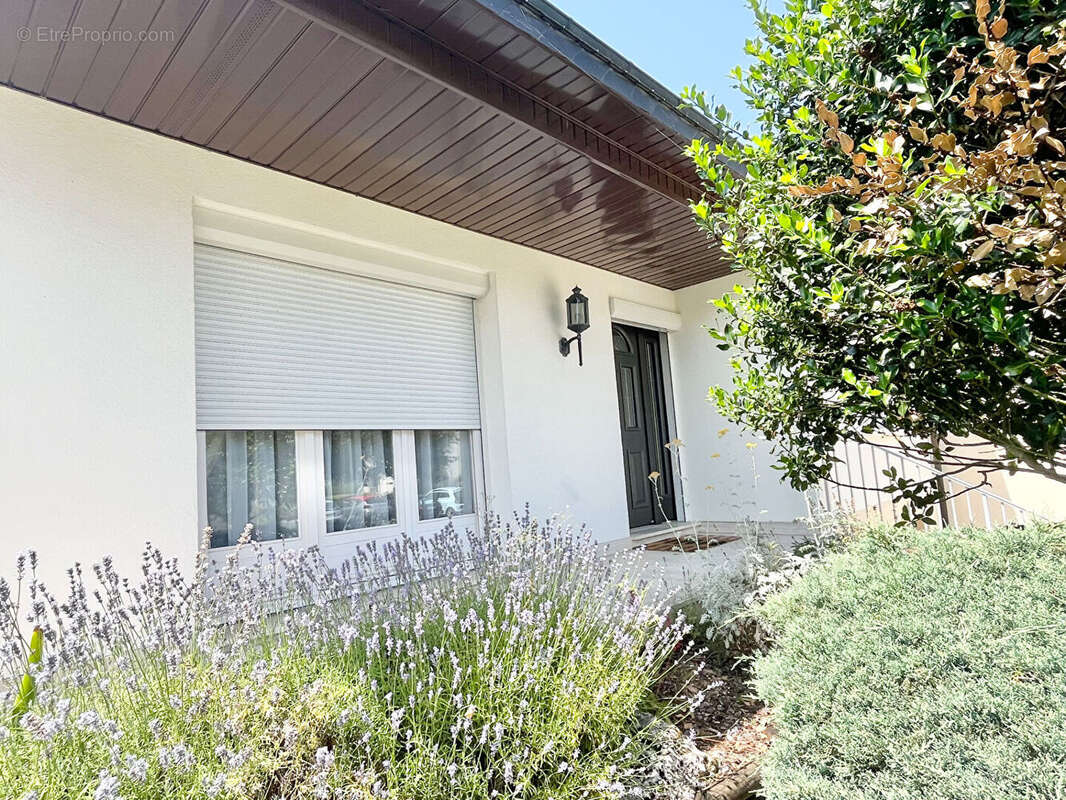 St Cyr centre - photo 10