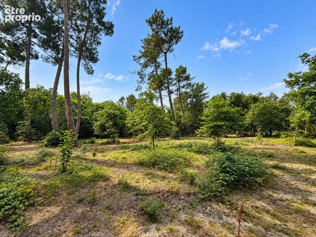 Terrain à LE BARP