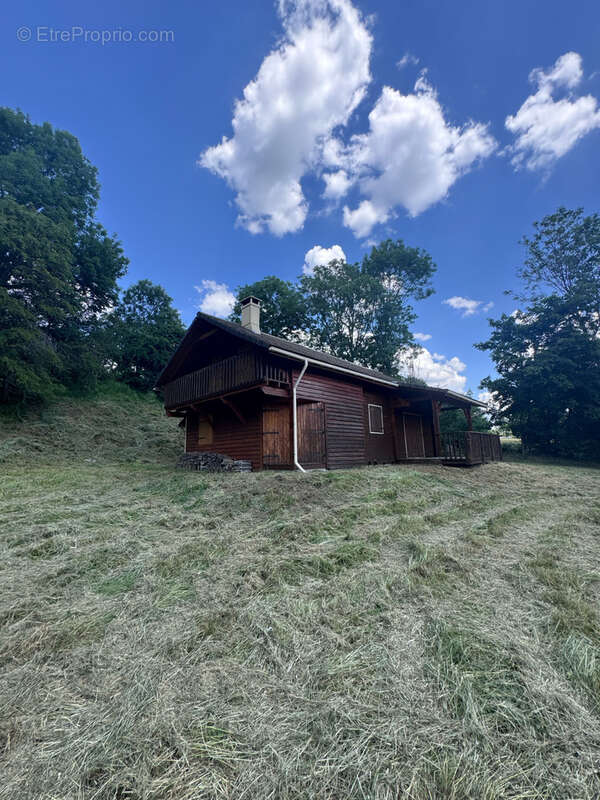 Chalet Terrain Garage Laveissiere - photo 15