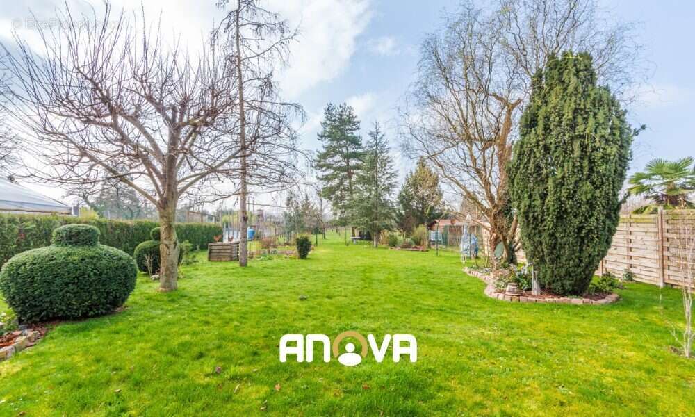 Maison à MOMMENHEIM