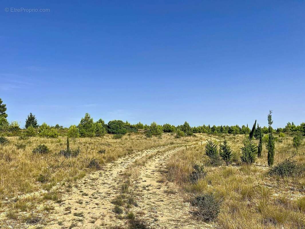 Terrain 11520 m² à Roquefort-Des-Corbieres  - photo 5