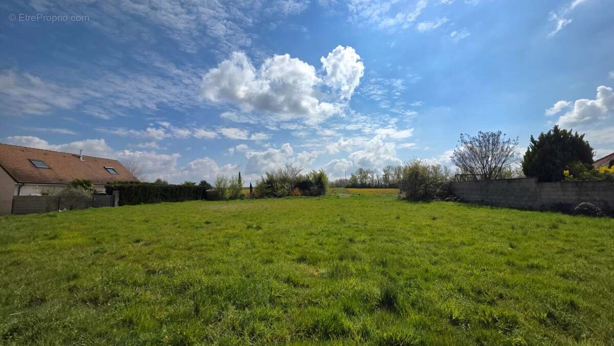 Terrain à CHATENOY-EN-BRESSE