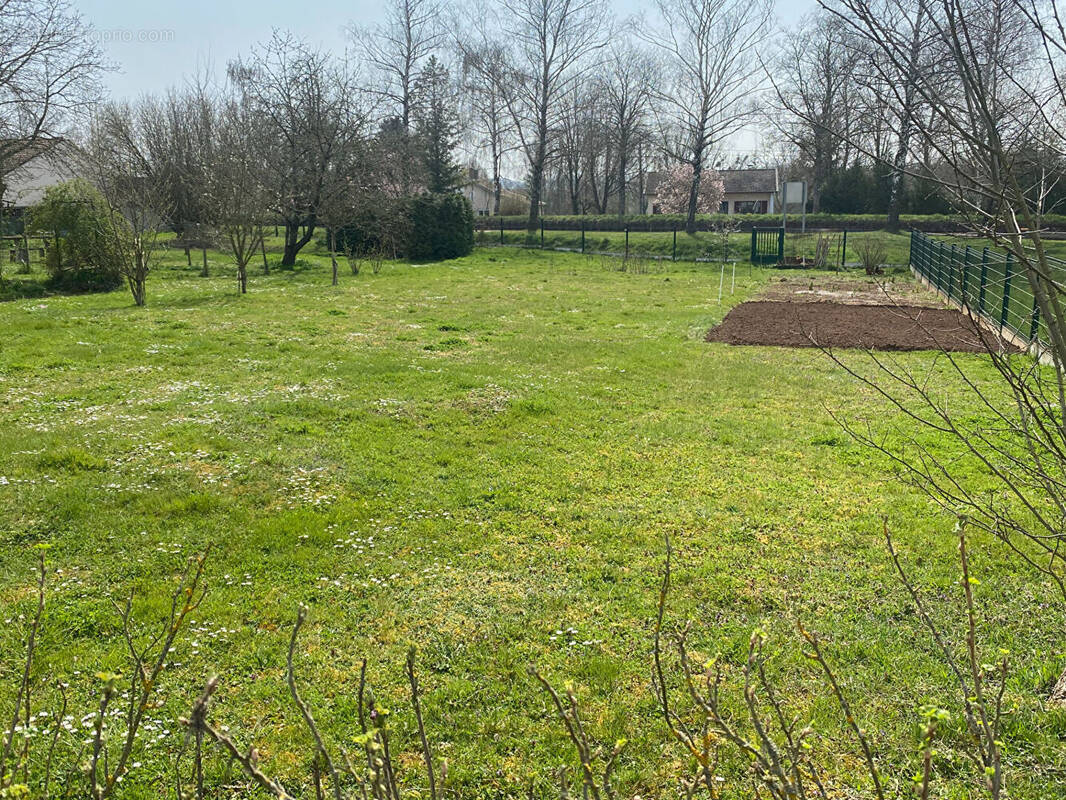 Terrain à EINVILLE-AU-JARD