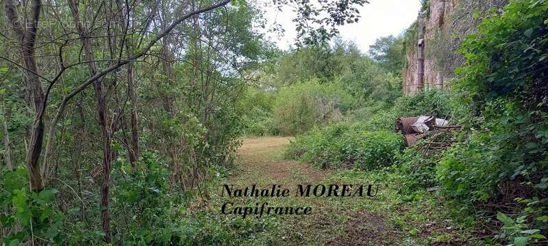 Maison à vendre 8 pièces AUTUN (71) terrain 2 690m2 - photo 7