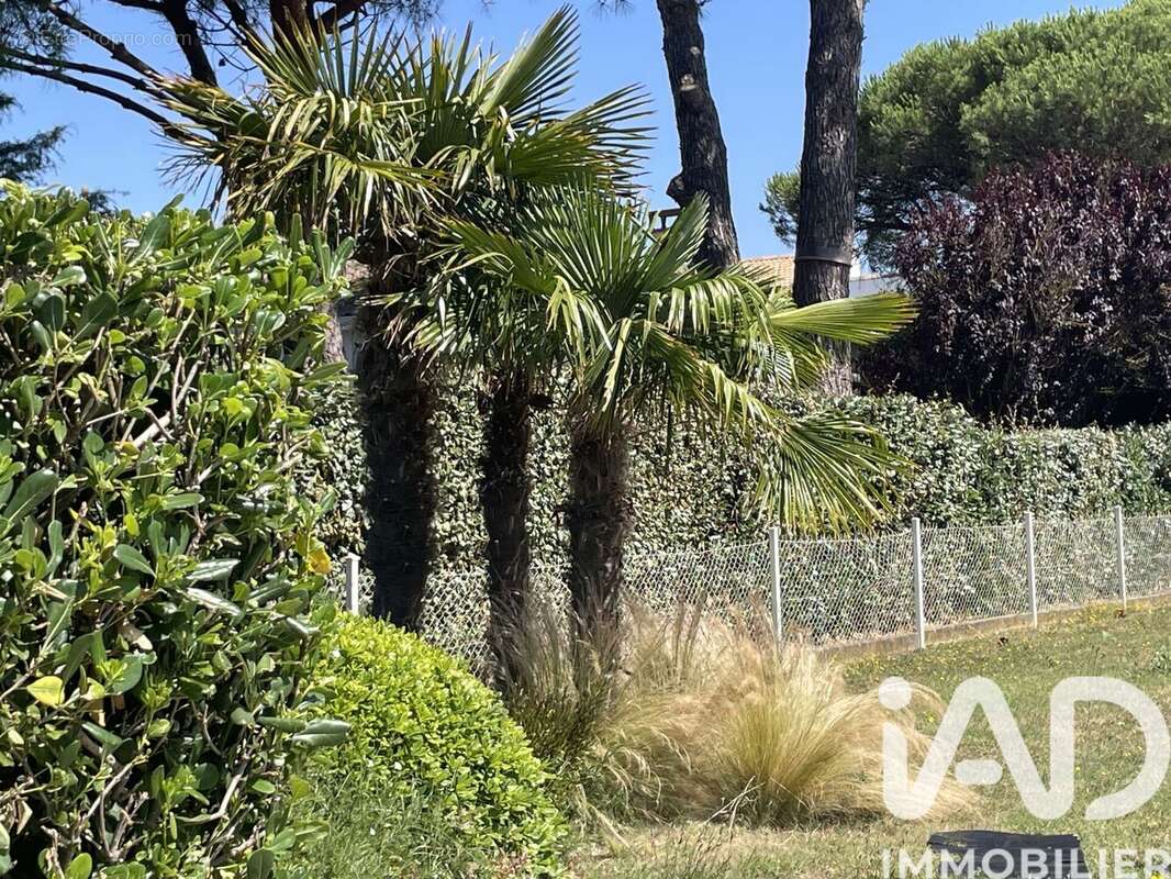 Photo 4 - Maison à VAUX-SUR-MER