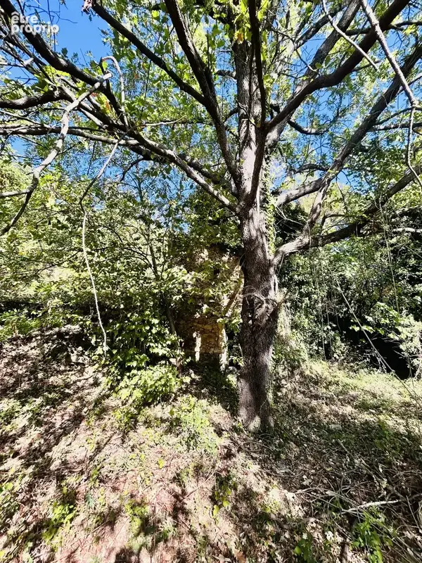 En Cévennes, Montdardier, terrain de loisirs, à vendre - photo 6