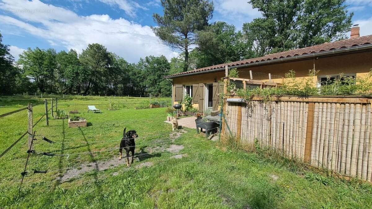 Maison à SAINT-SYMPHORIEN