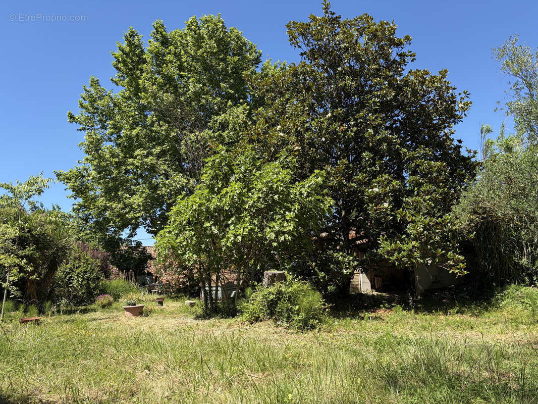 Maison à CADEROUSSE