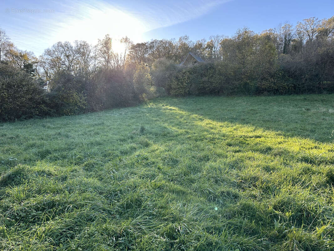 Terrain à MOUMOUR