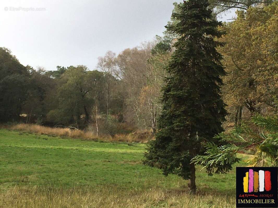 Maison à SAINT-MICHEL-ESCALUS