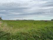 Terrain à BAILLEUL-AUX-CORNAILLES
