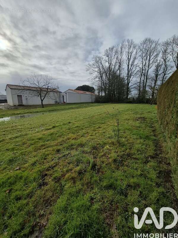 Photo 2 - Terrain à SALIGNY