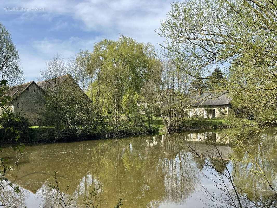 Maison à LOUESTAULT