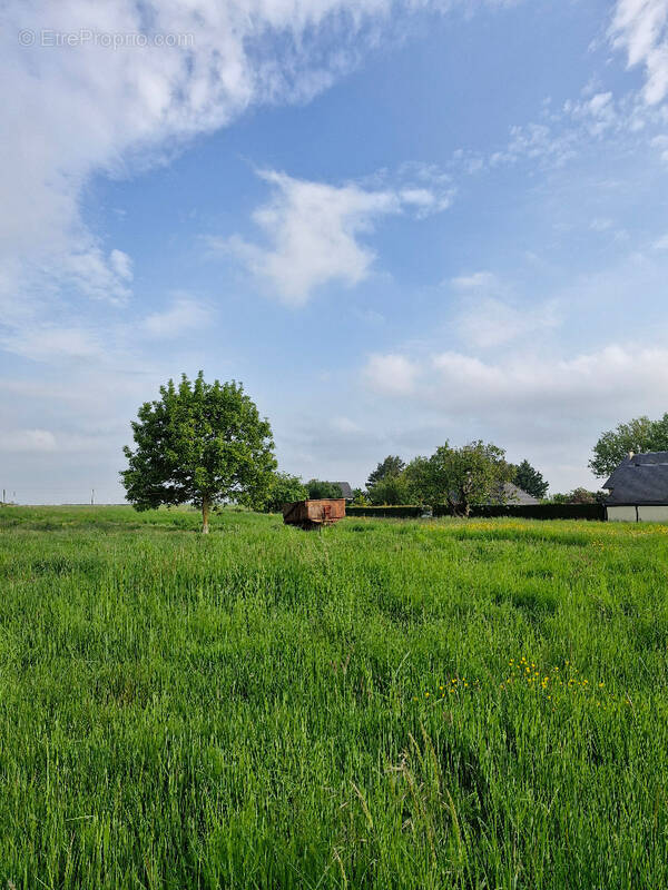 Terrain à SERVAVILLE-SALMONVILLE