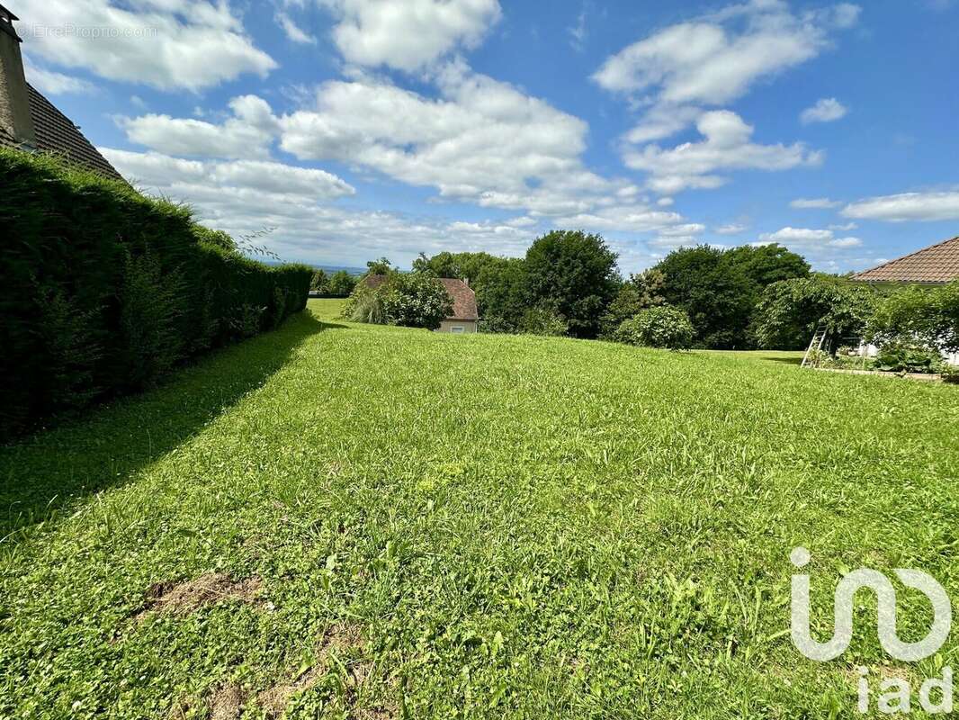 Photo 5 - Terrain à SERRES-CASTET