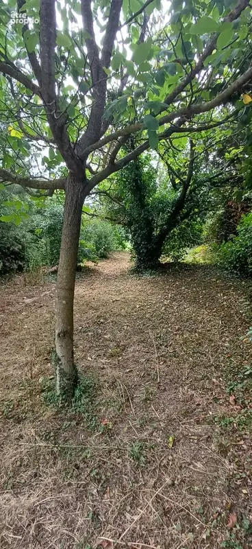 Beau Terrain surface rare - photo 7