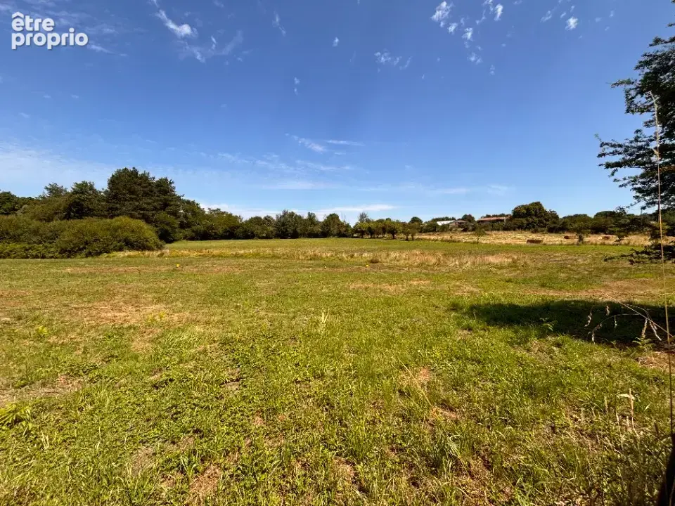 Terrain à AVRILLE