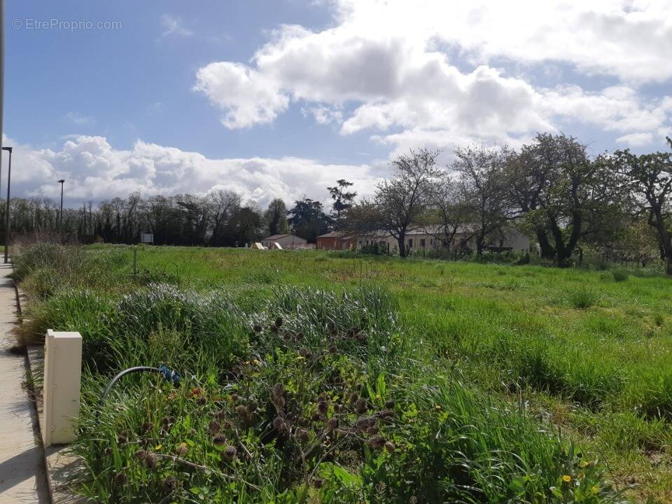 Terrain à VERDUN-SUR-GARONNE