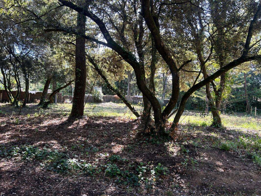 Terrain à SAINT-GEORGES-D&#039;OLERON
