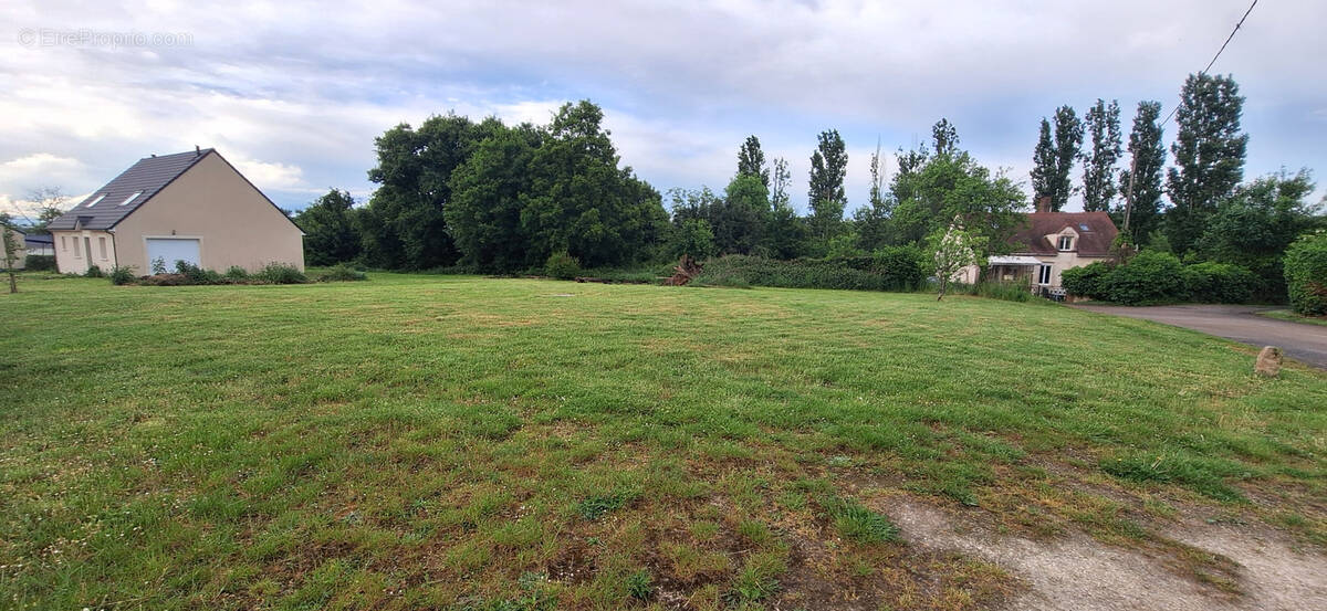 Terrain à NOE