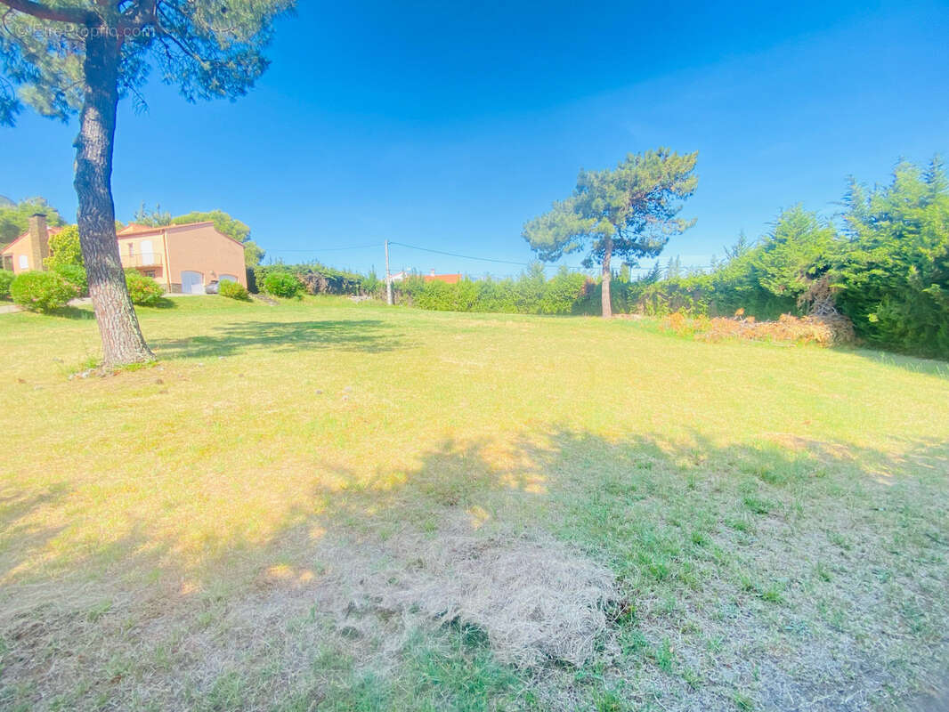 RARE À CÉRET -Fort potentiel-Terrain constructible de 2000 m2 avec certificat d’urbanisme délivré. - photo 7