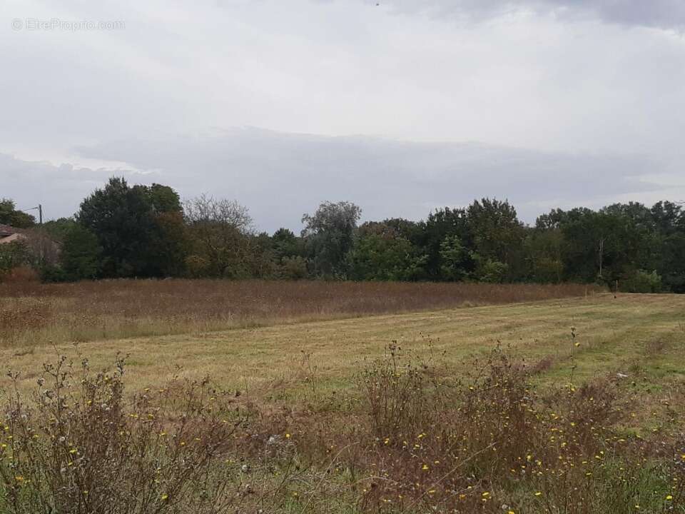 Terrain à MONTJOIRE