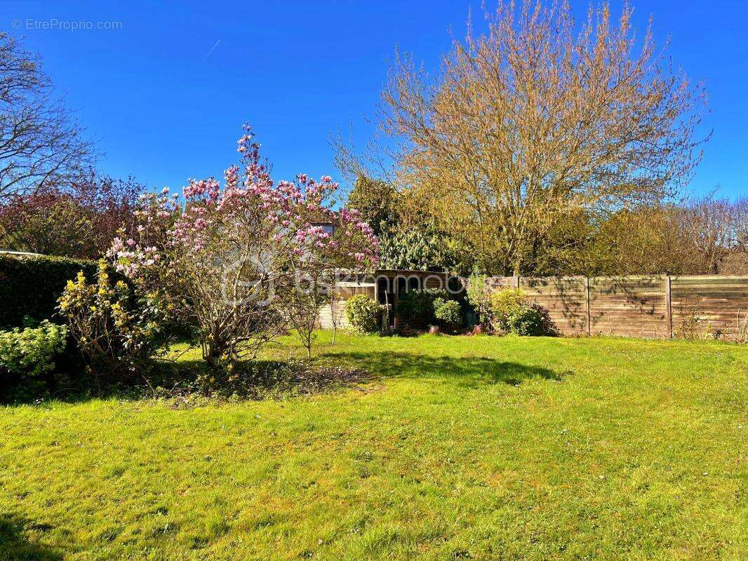 Maison à LES MESNULS