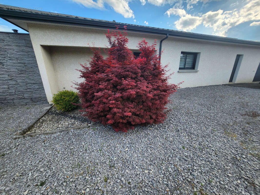Maison à VINEZAC