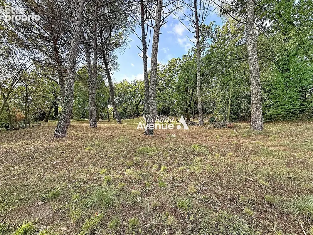 Terrain constructible à Grasse Sud ? 1 952 m² - photo 3