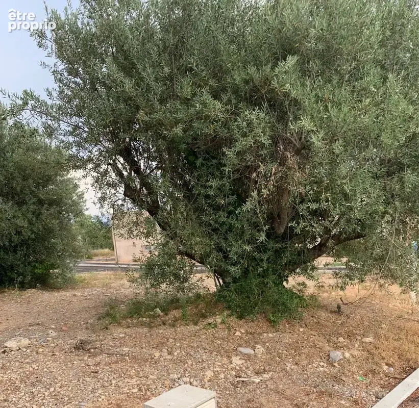 Terrain 360 m² à vendre à Manosque (04100) - photo 1