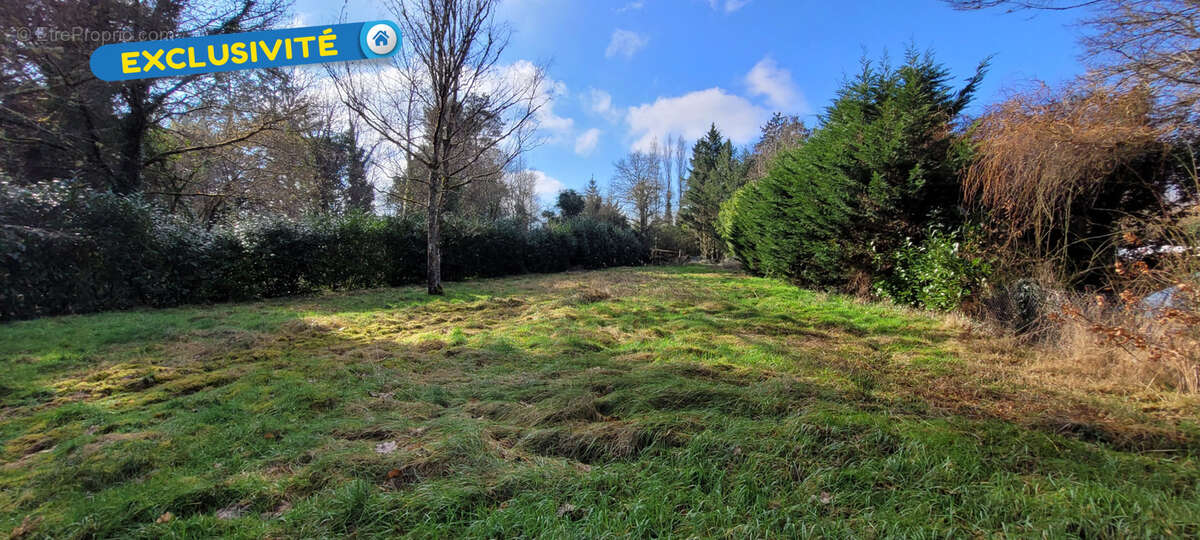 Terrain à VANNES-SUR-COSSON