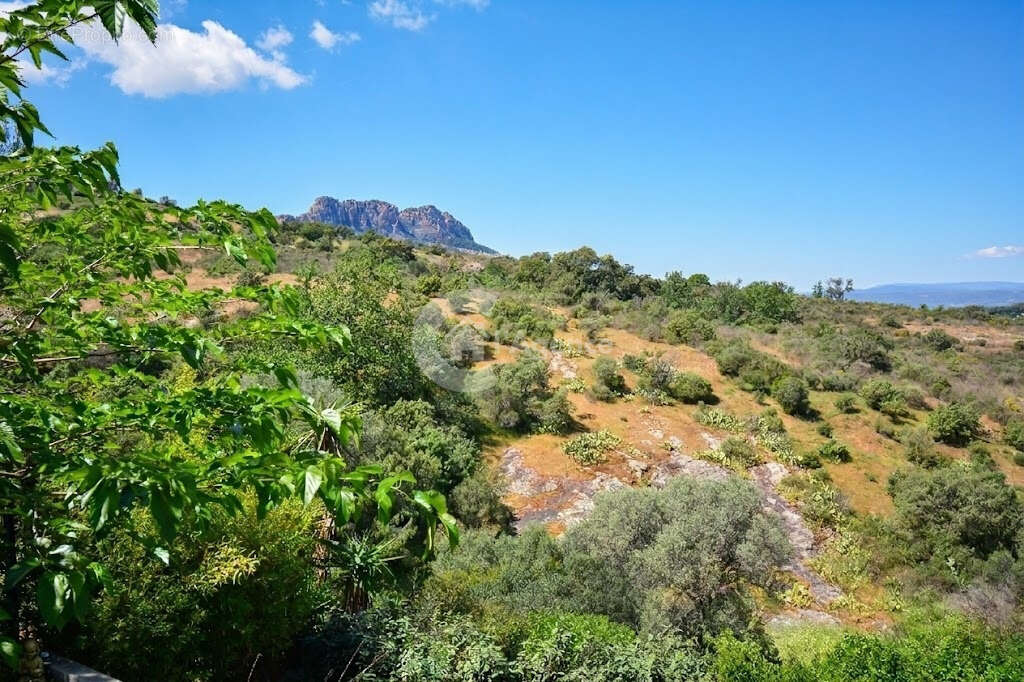 Maison à ROQUEBRUNE-SUR-ARGENS