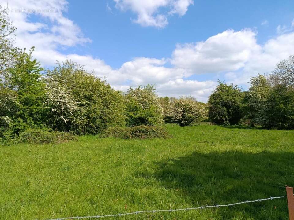 Terrain à SAINT-SYMPHORIEN