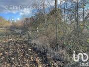 Photo 1 - Terrain à MONTAUVILLE