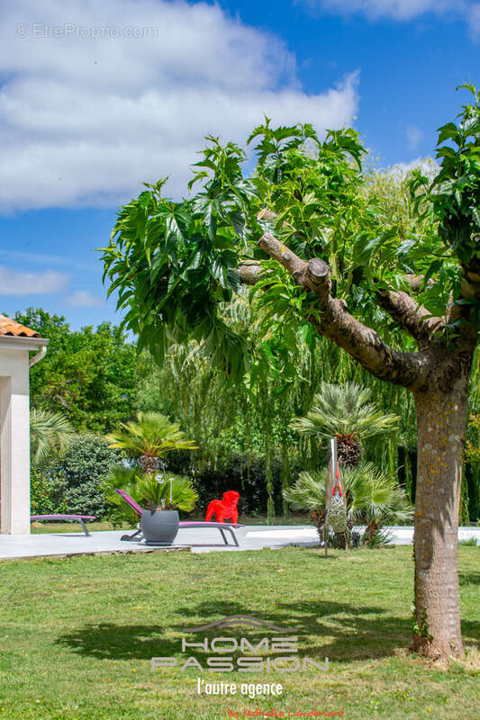 Maison à SAUJON
