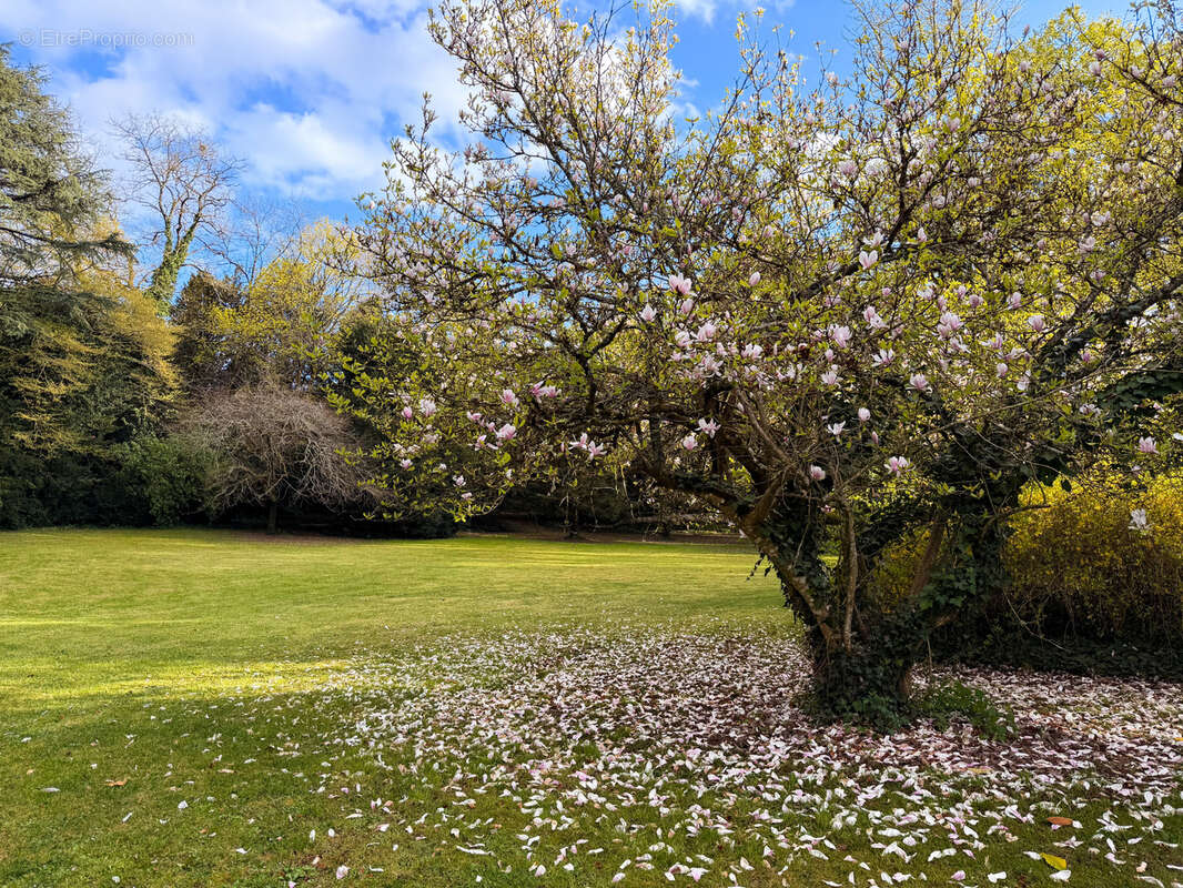 Maison à RAZAC-SUR-L'ISLE