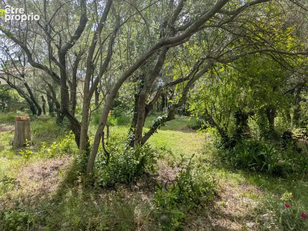 Villa familiale à rénover aux portes de Montpellier  terrain divisible, fort potentiel et jardin arboré - photo 8