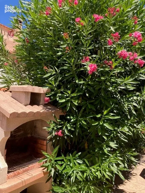 Canet maison T3 de plain pied avec piscine - photo 17