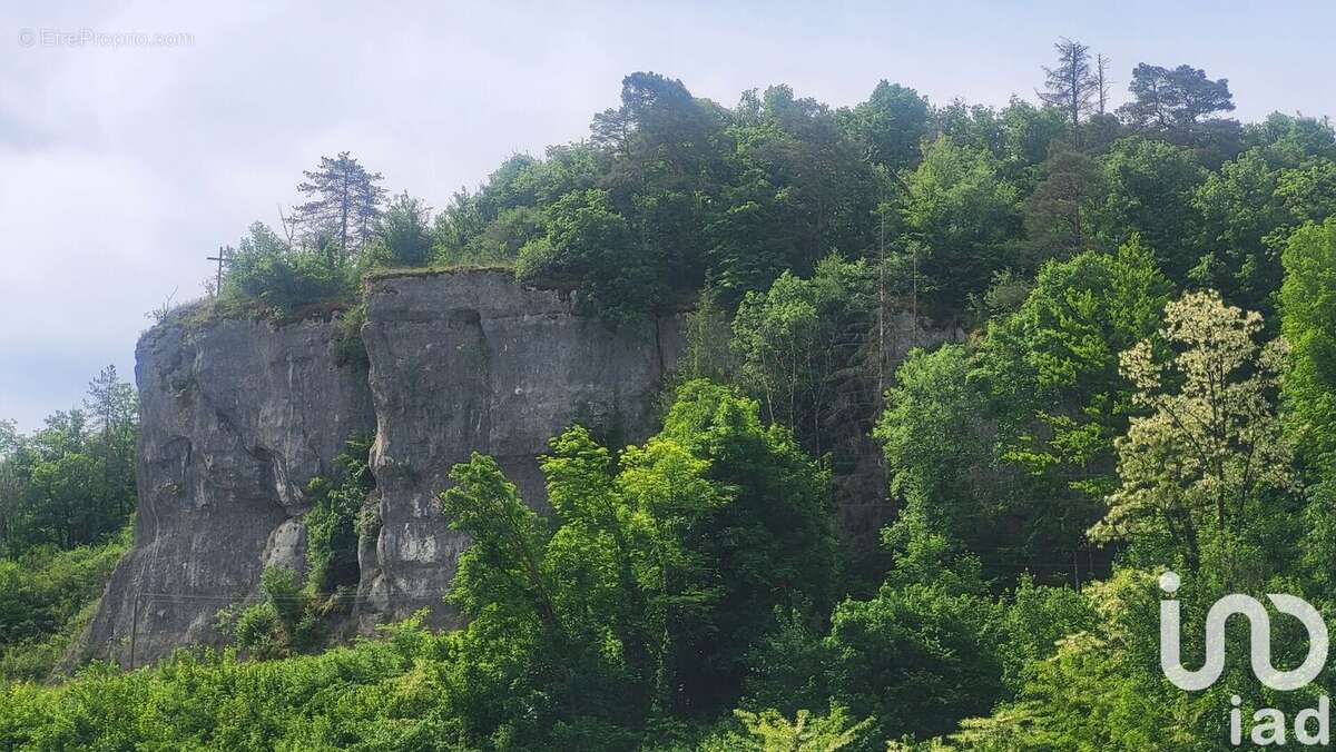 Photo 5 - Maison à ORNANS