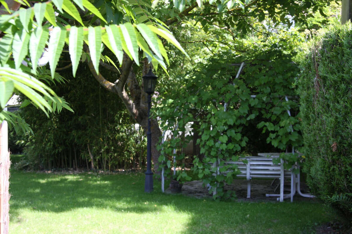 Commerce à SAINT-SATUR