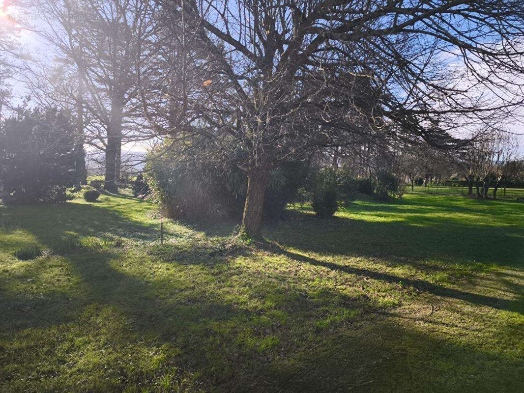 Maison à LABRUGUIERE