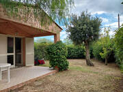 Appartement à ZONZA