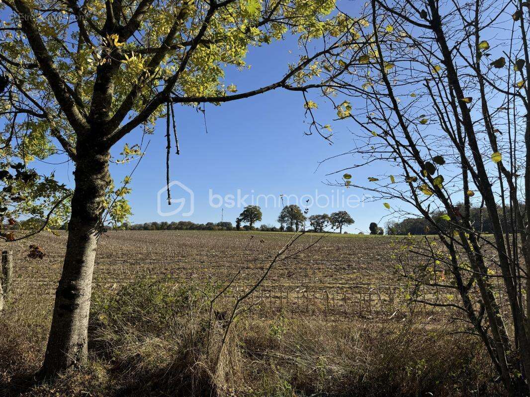 Terrain à SAINT-PIERRE-LA-COUR