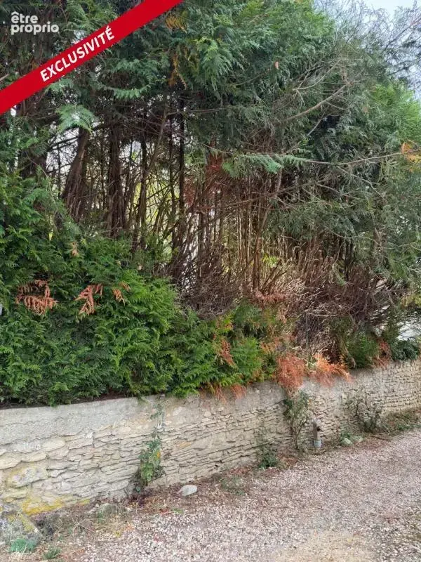 Terrain constrictible 230 m² Plat, Viabilisé, Clos - A 3 kms de Maule - photo 2