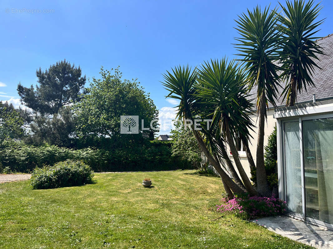 Maison à TREVOU-TREGUIGNEC