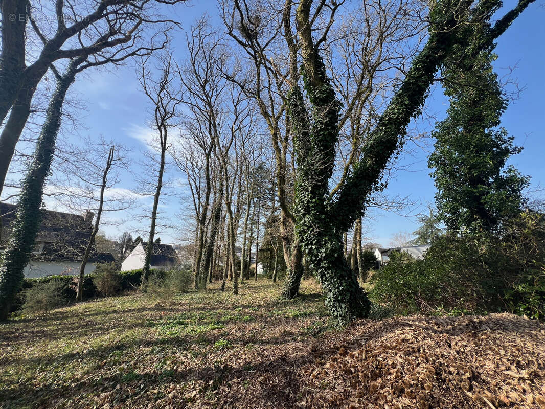 Terrain à QUEVEN