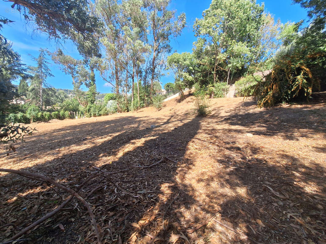 Terrain à SAINT-PAUL