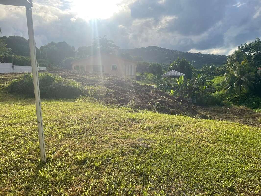 Terrain à LE LAMENTIN