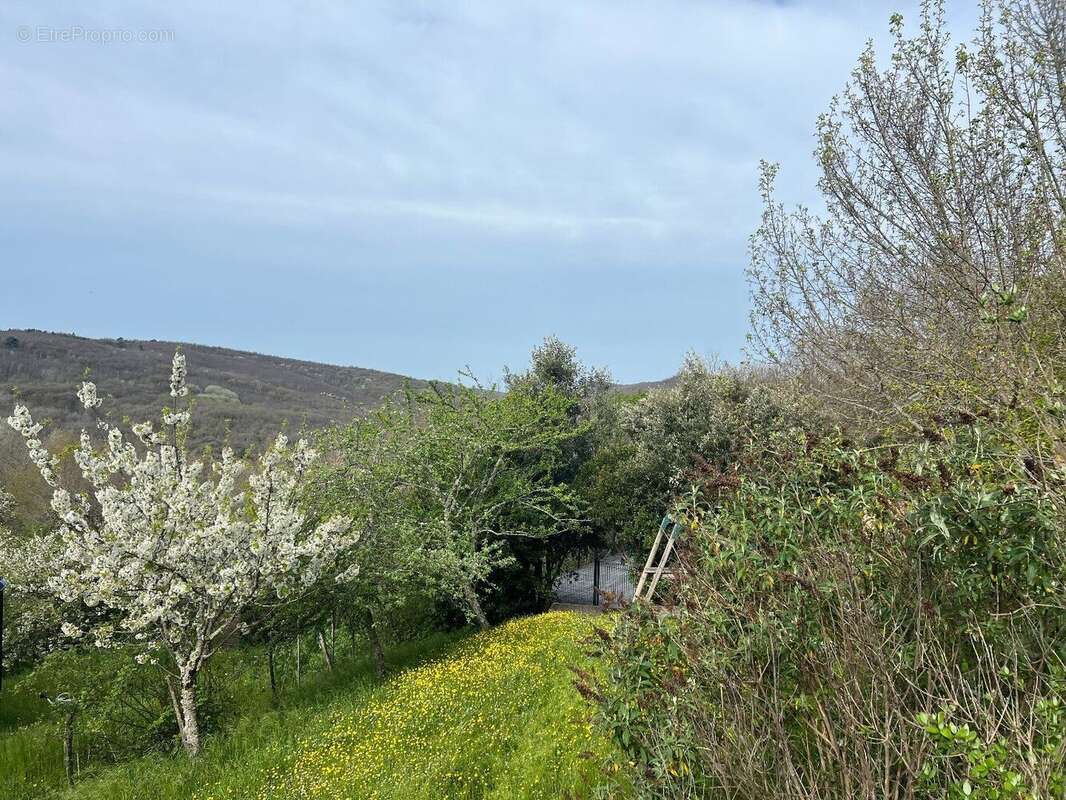 Maison de caractère avec gite et appartement - 265 m² - piscine - 1,5 ha - Vaour (Tarn) - photo 11